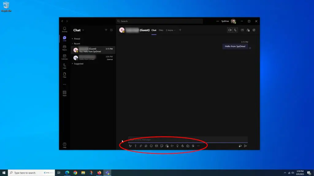 Guest-User-with-Icons - SysDrive